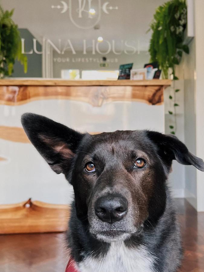 Luna House & Cowork Кашкайш Экстерьер фото